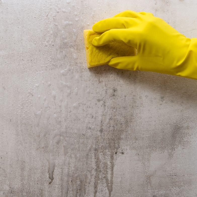 Limpieza de grafitis